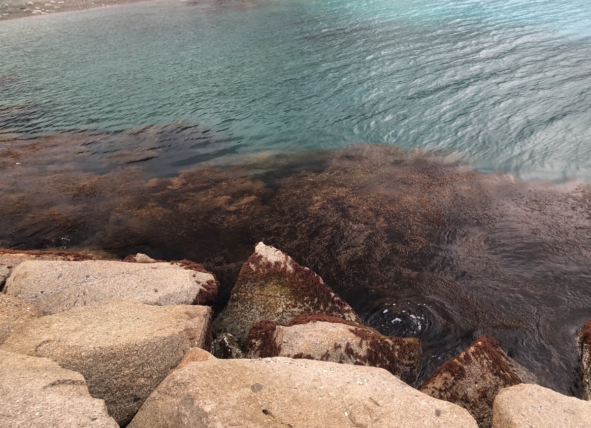 f:id:shimokenpi:20190828214642j:plain