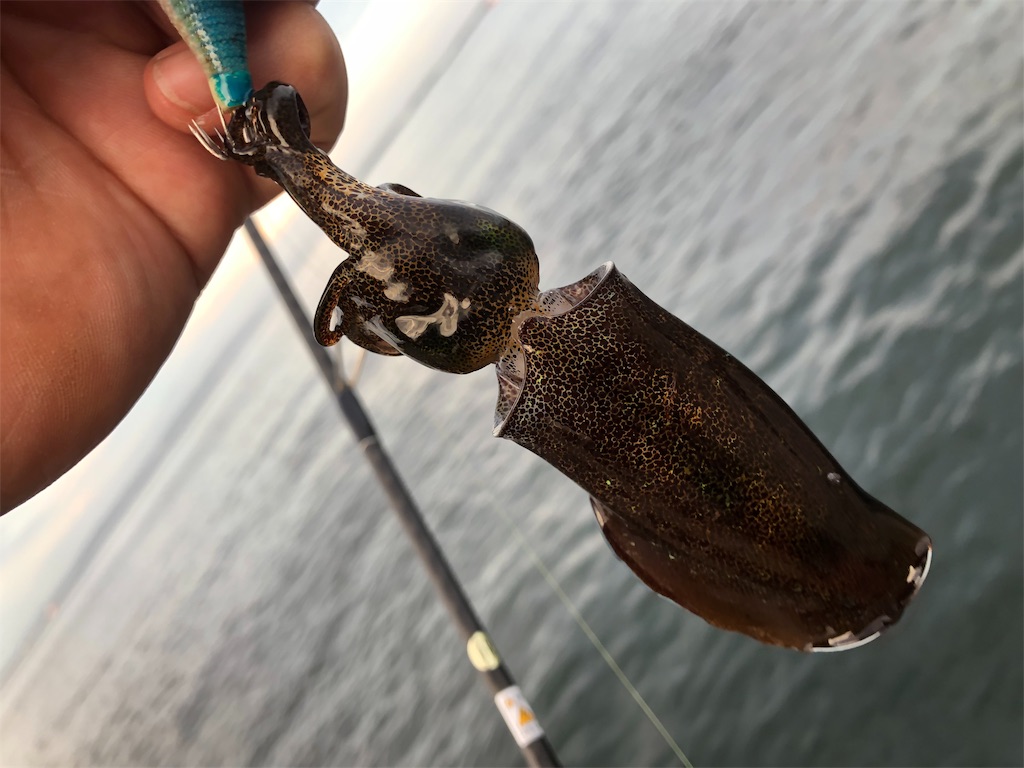 f:id:shimokenpi:20190830195133j:image