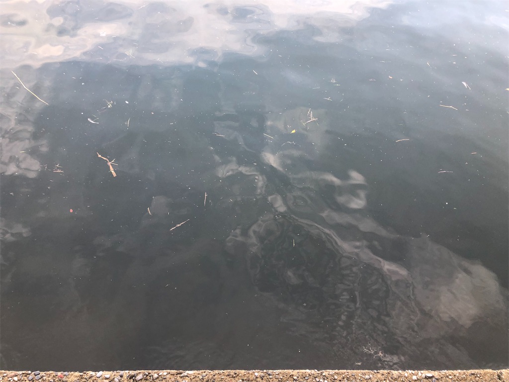 f:id:shimokenpi:20190830195522j:image