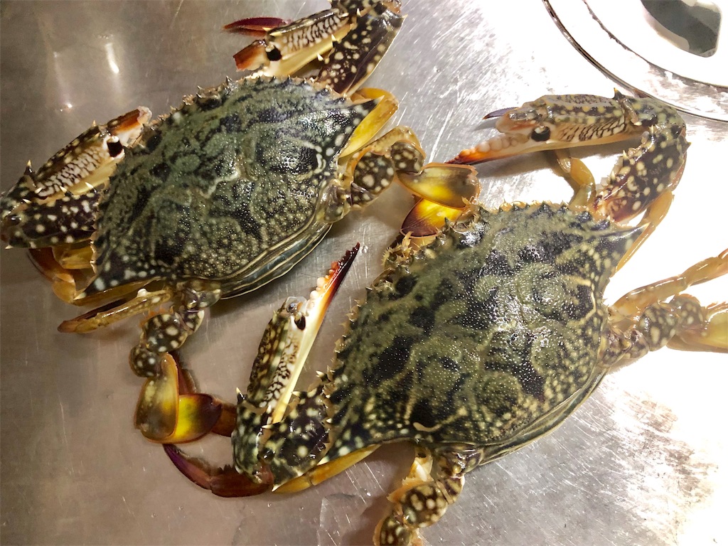 f:id:shimokenpi:20190930225450j:image