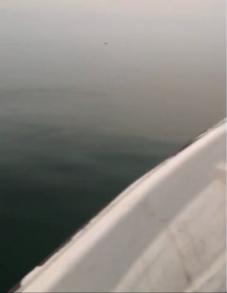 f:id:shimokenpi:20191001170912j:image