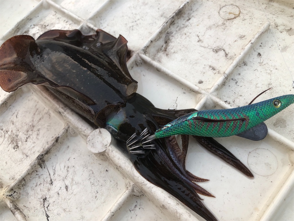 f:id:shimokenpi:20191001171609j:image