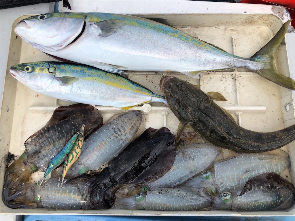 f:id:shimokenpi:20191001175845j:image