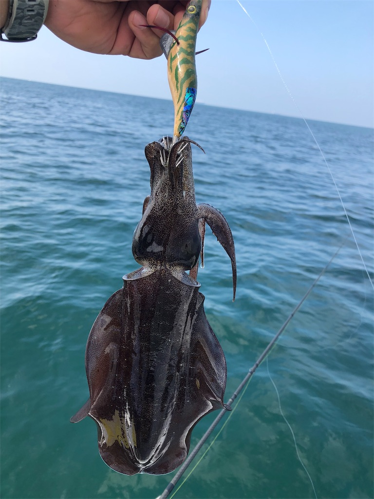 f:id:shimokenpi:20191001184929j:image