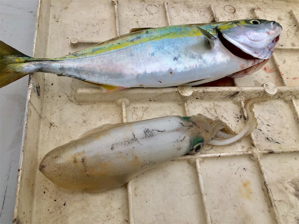 f:id:shimokenpi:20191007191732j:image