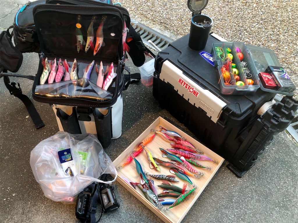 f:id:shimokenpi:20191118202930j:image