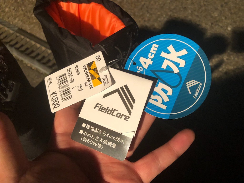 f:id:shimokenpi:20191118203041j:image