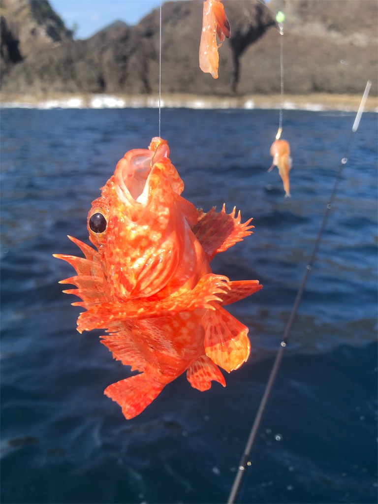 f:id:shimokenpi:20191119200332j:image