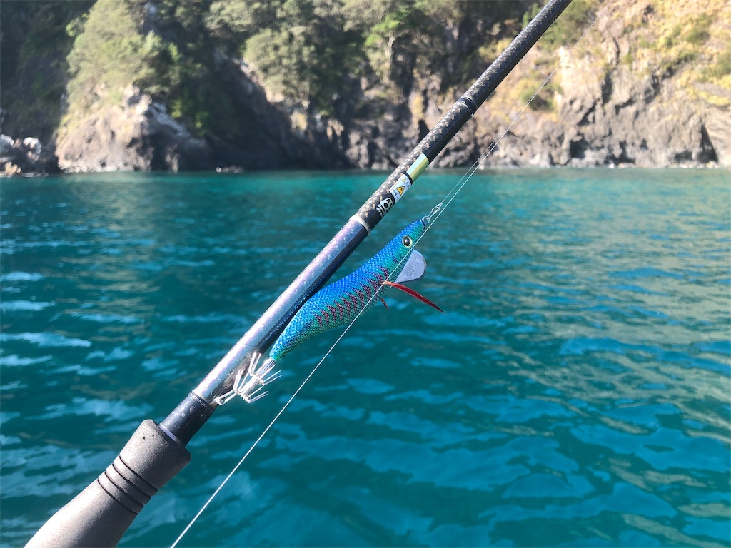 f:id:shimokenpi:20191119200805j:image