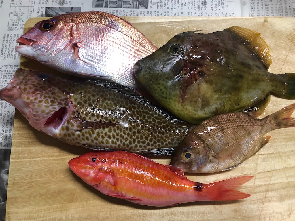 f:id:shimokenpi:20191119203453j:image