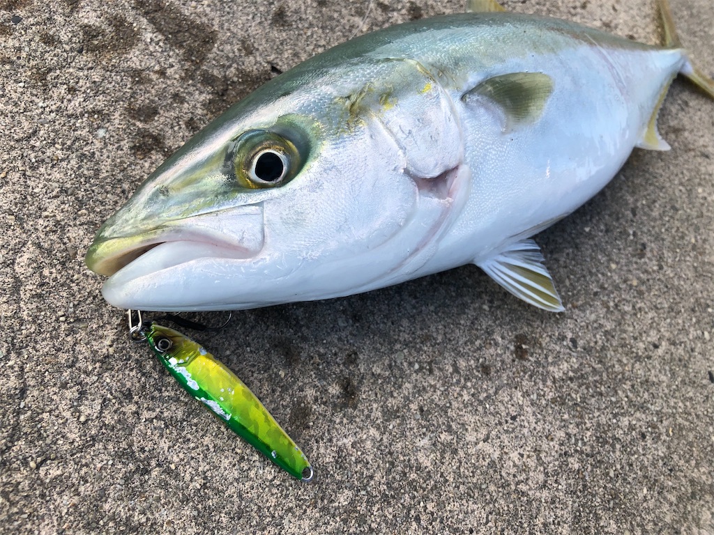 f:id:shimokenpi:20191223202920j:image