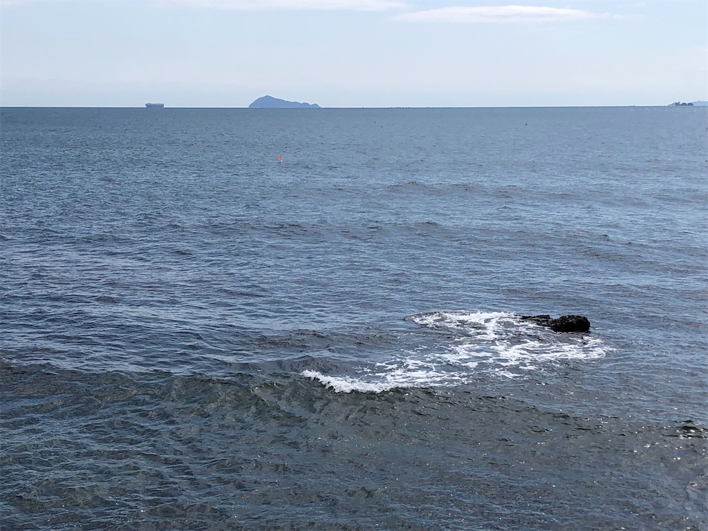 f:id:shimokenpi:20200218225315j:image