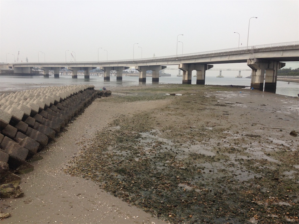 f:id:shimokenpi:20200218230332j:image