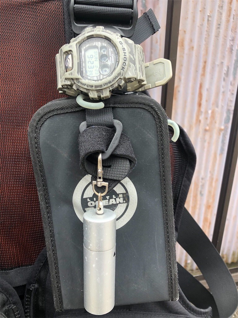 f:id:shimokenpi:20200223210049j:image