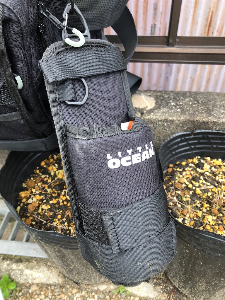 f:id:shimokenpi:20200223210342j:image