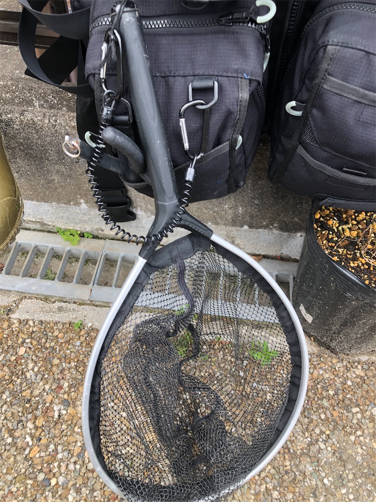 私のウェーディングスタイル しもけんぴ釣行記