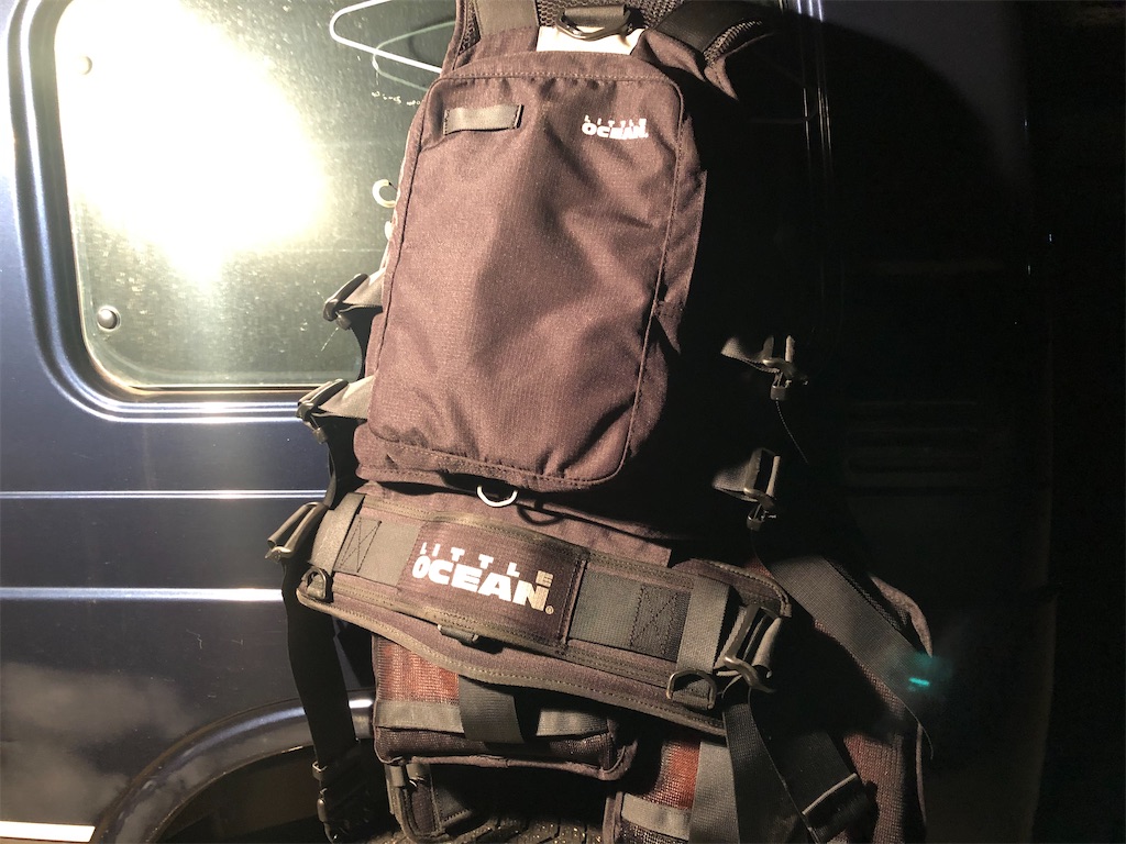 f:id:shimokenpi:20200223213349j:image