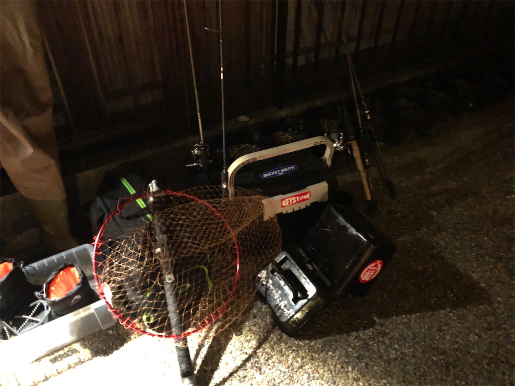 f:id:shimokenpi:20200228192423j:image