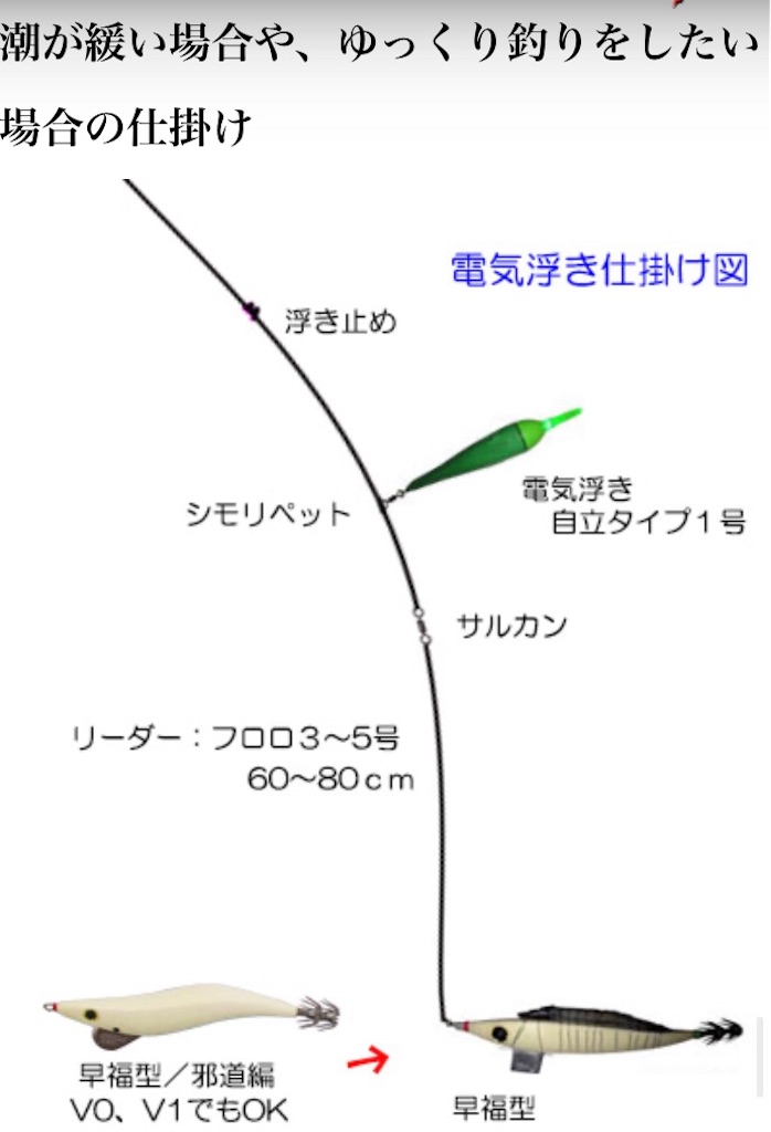 越前ヤリイカ探し旅part しもけんぴ釣行記