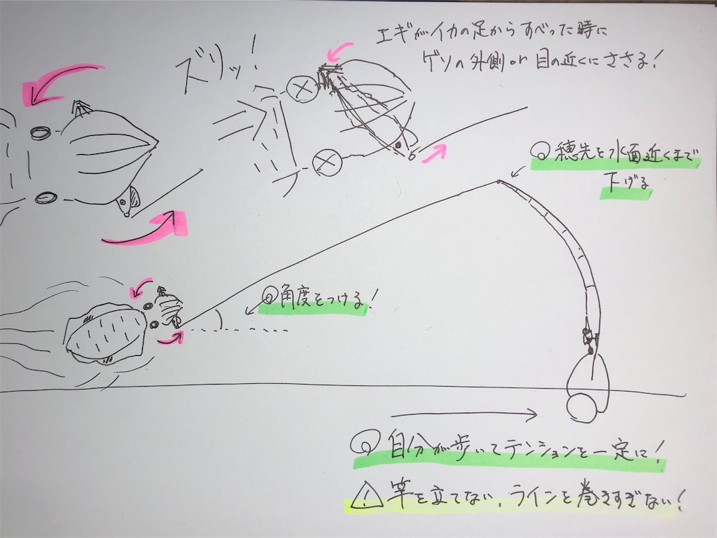 f:id:shimokenpi:20200316174902j:image