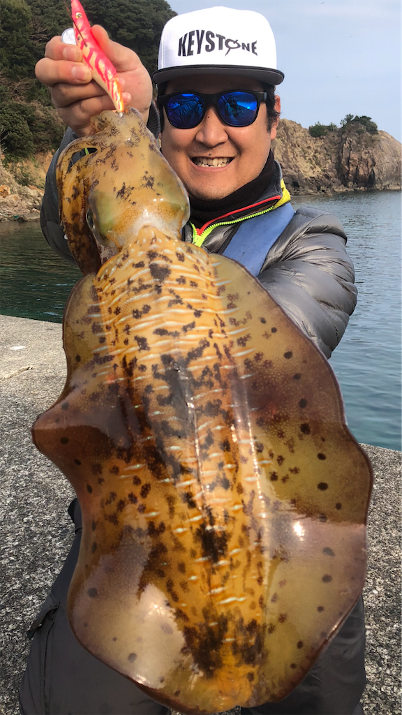 f:id:shimokenpi:20200316175724p:image