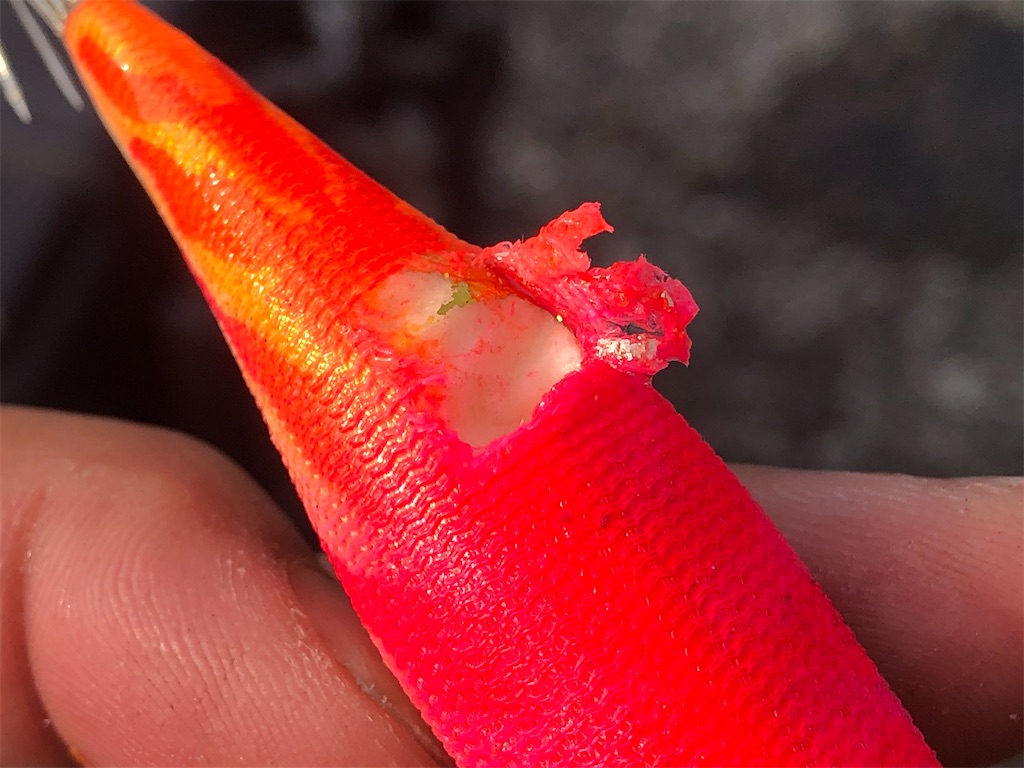 f:id:shimokenpi:20200316180435j:image