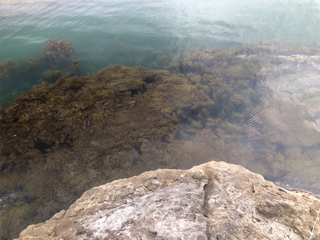 f:id:shimokenpi:20200316182719j:image