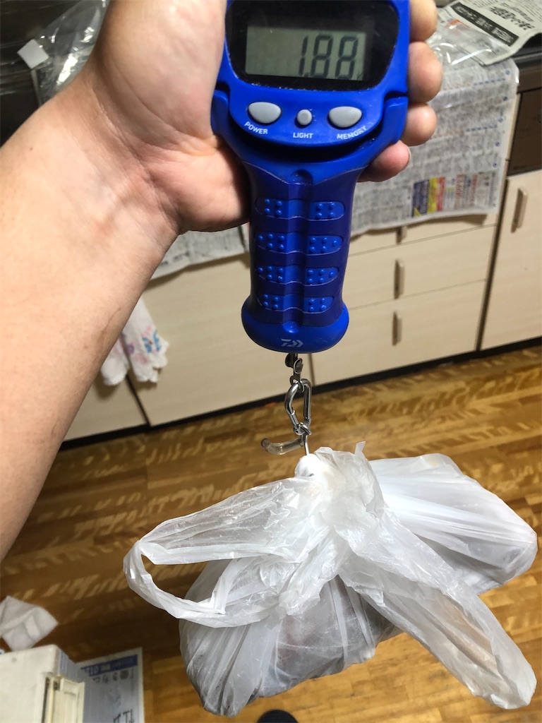 f:id:shimokenpi:20200316194052j:image