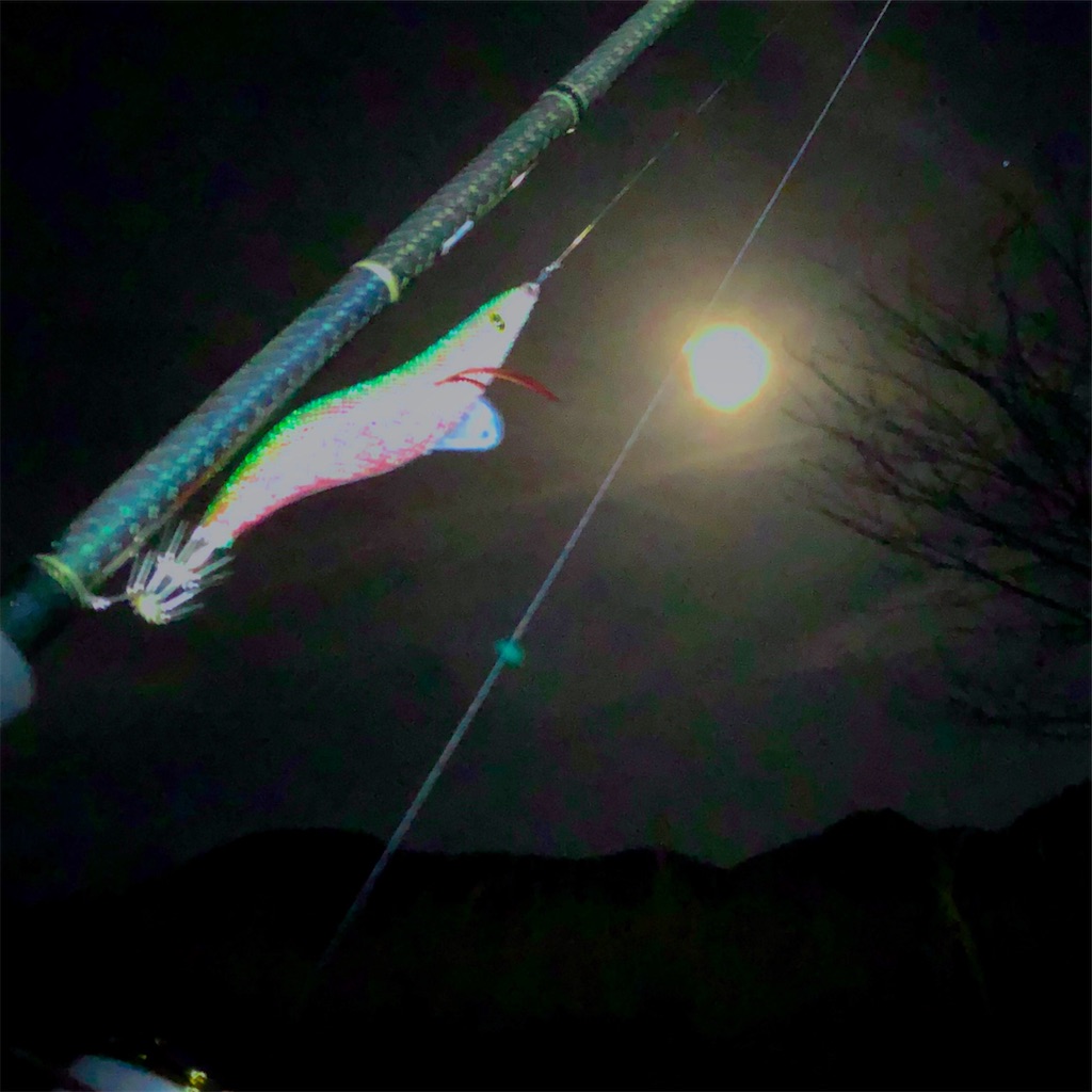 f:id:shimokenpi:20200317194948j:image