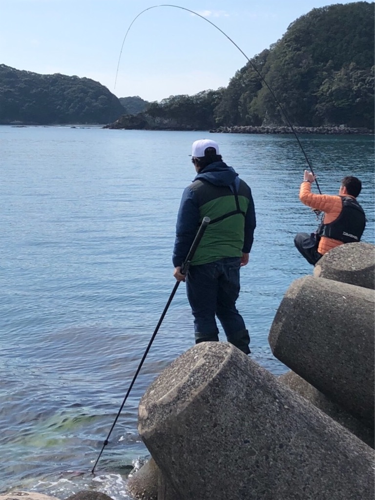 f:id:shimokenpi:20200317203756j:image