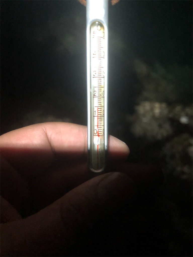 f:id:shimokenpi:20200321201039j:image