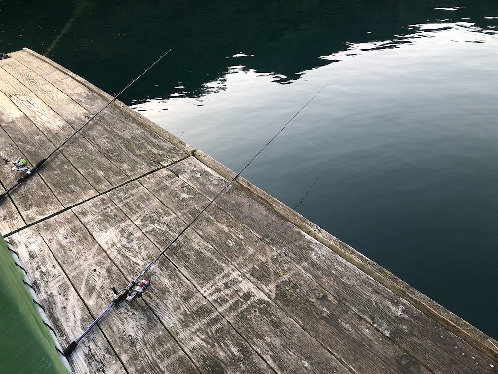 f:id:shimokenpi:20200323200632j:image