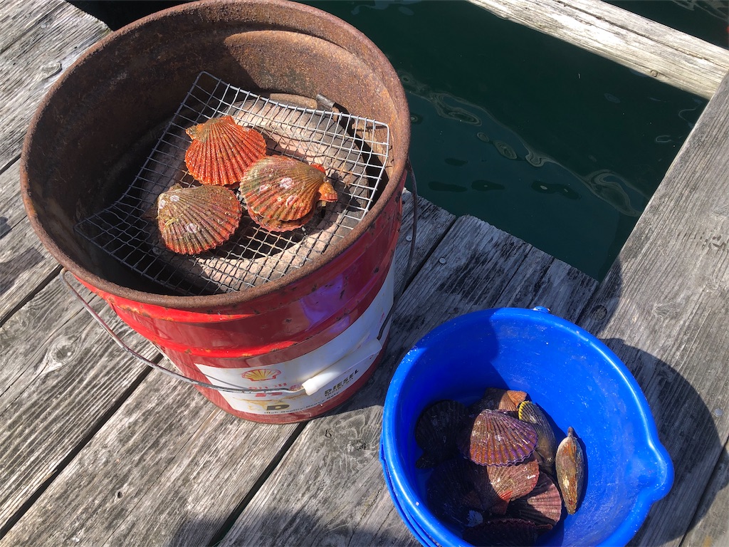 f:id:shimokenpi:20200323204644j:image