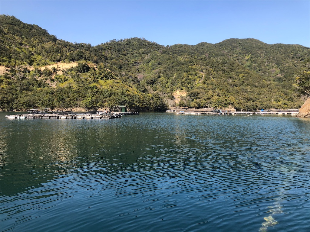 f:id:shimokenpi:20200323205209j:image