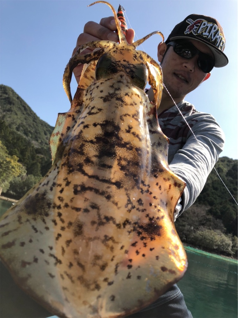 f:id:shimokenpi:20200323205325j:image