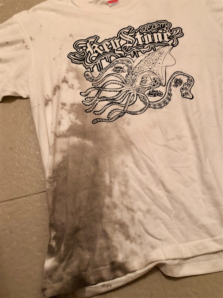 f:id:shimokenpi:20200608201356j:image