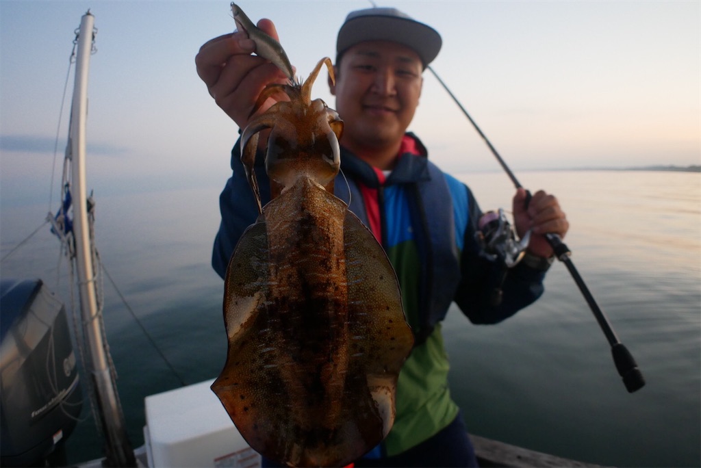 f:id:shimokenpi:20200622212145j:image