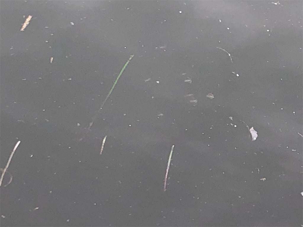 f:id:shimokenpi:20200915201731j:image