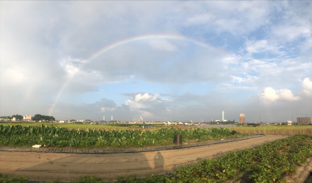 f:id:shimokenpi:20200915203804j:image