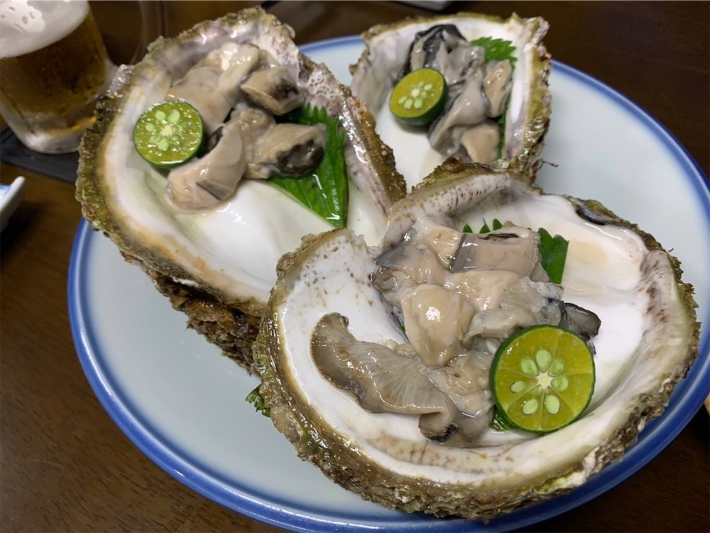 f:id:shimokenpi:20200929193642j:image