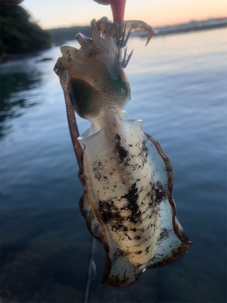 f:id:shimokenpi:20200930211440j:image