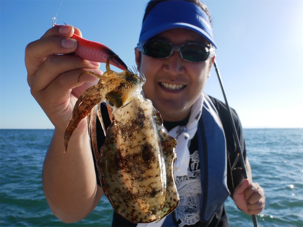 f:id:shimokenpi:20201025192900j:image