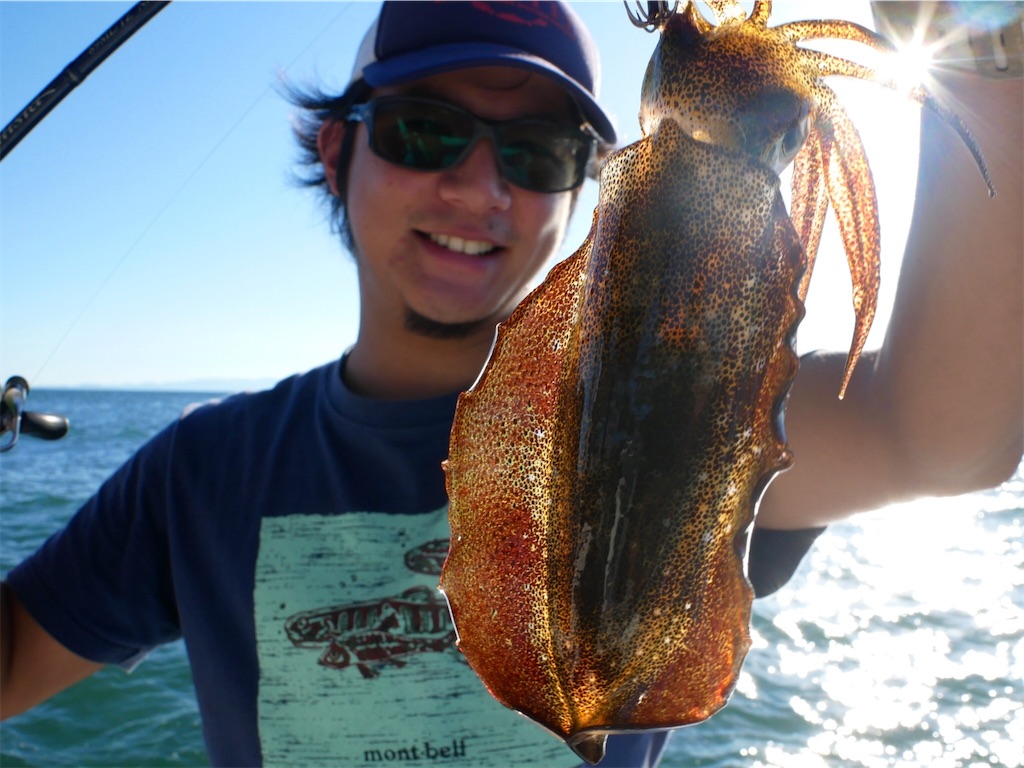 f:id:shimokenpi:20201025193323j:image