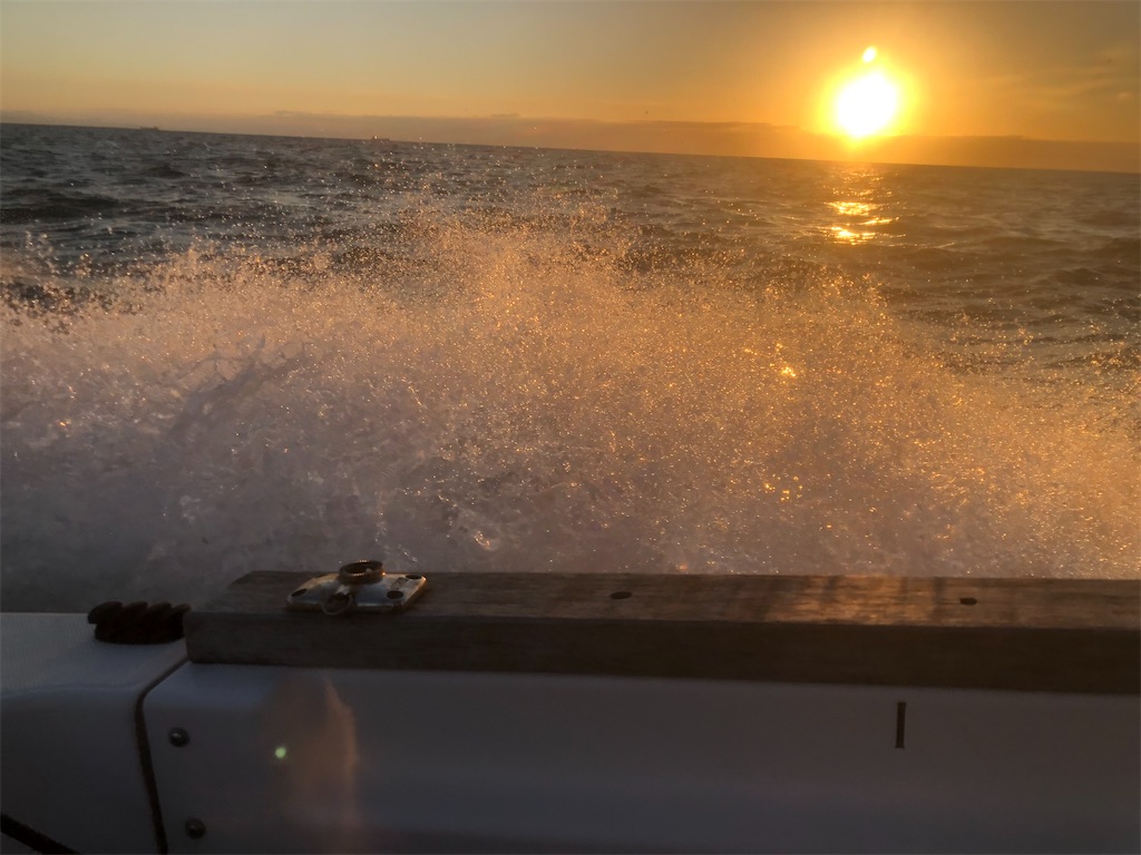 f:id:shimokenpi:20201025193824j:image