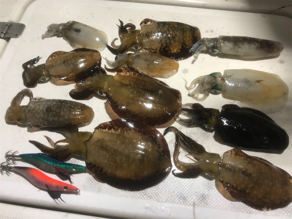 f:id:shimokenpi:20201025194032j:image