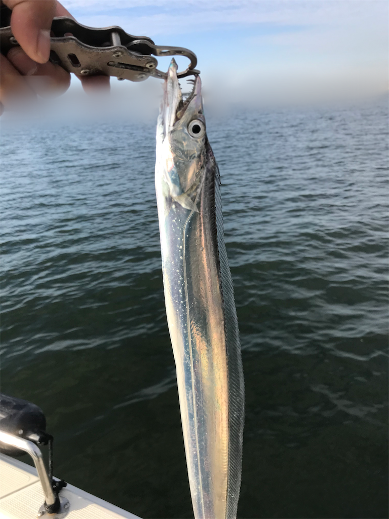 f:id:shimokenpi:20201025214410p:image