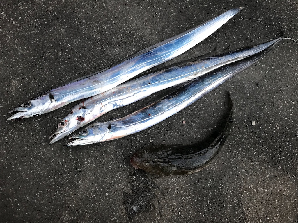 f:id:shimokenpi:20201025215141j:image