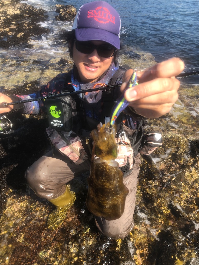 f:id:shimokenpi:20201103200118j:image