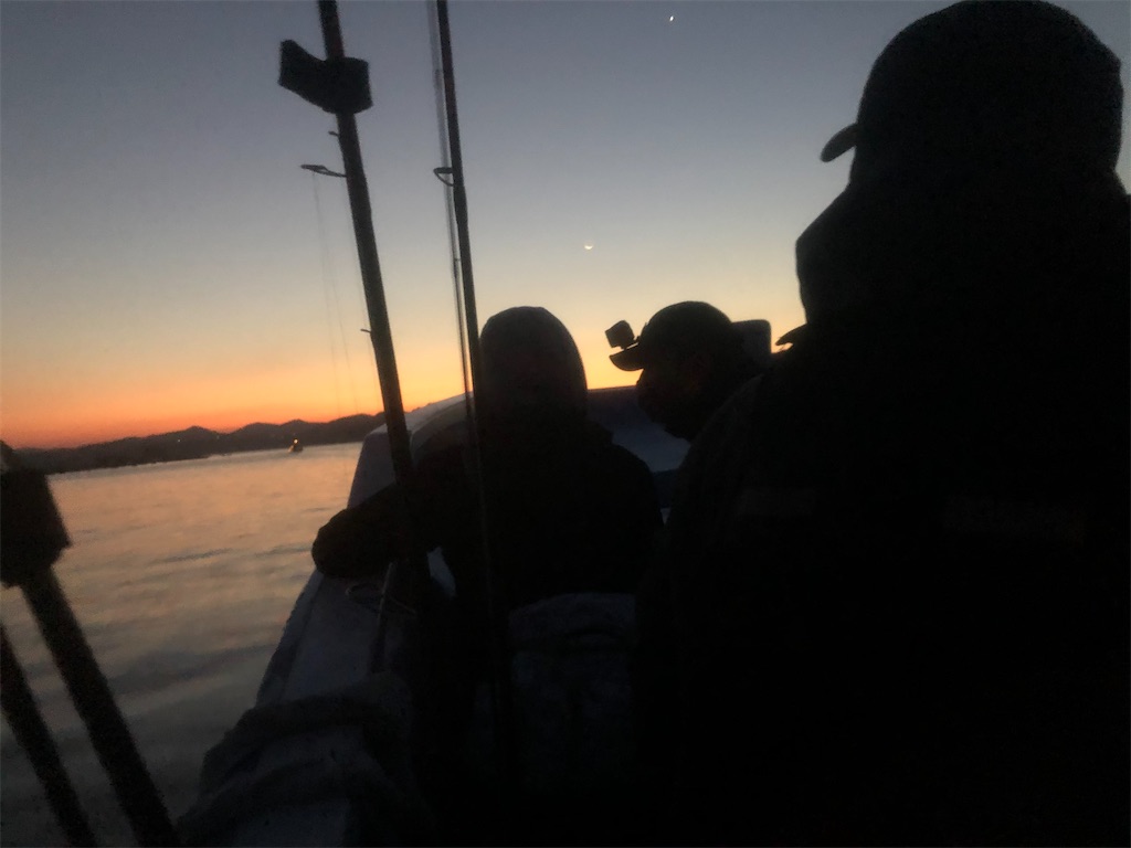 f:id:shimokenpi:20201116202849j:image