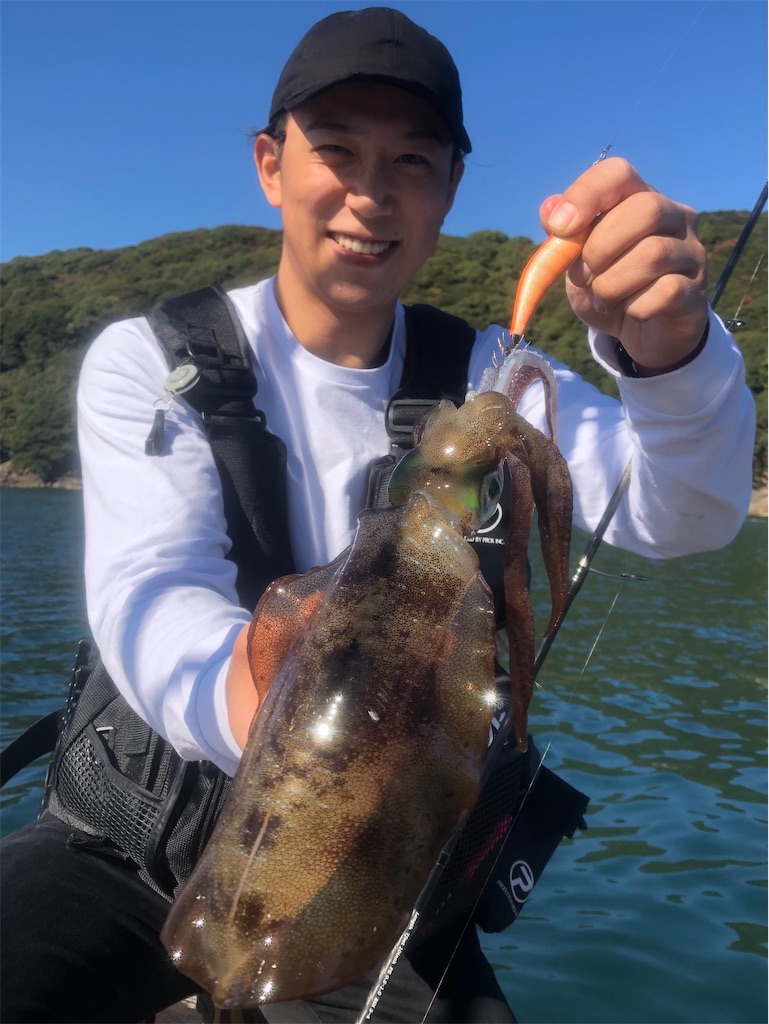 f:id:shimokenpi:20201116204846j:image